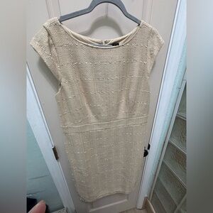 Ann Taylor Beige Textured dress